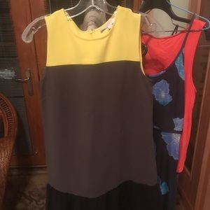 Cute Dress w Flaired bottom